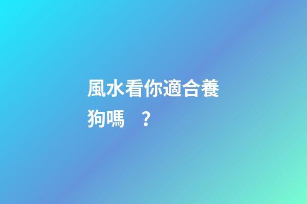 風水看你適合養狗嗎？